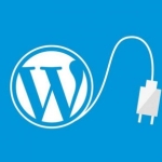 WordPress无名氏全站缓存加速插件