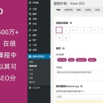 WordPress高级SEO插件Yoast SEO Premium v11.8专业版破解 也100%中文汉化