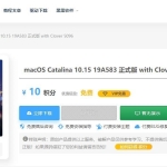wordpress主题Ripro下载信息美化插件