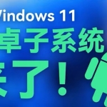 WINDOWS11运行安卓APP_民间大神制作工具包_软件工具