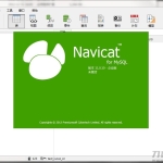Navicat_for_mysql_V11.0.10企业版绿色中文版_软件工具