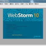 WebStorm V10.0.3汉化安装包+注册机_软件工具