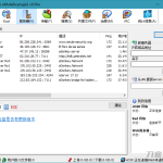 BitComet v1.78解锁豪华版_软件工具