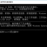 Windows 10 数字权利激活工具 永久激活版_软件工具