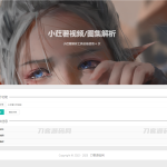 2023全新小红书图集和视频解析去水印网站源码