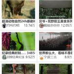 MtfLive直播导航PHP源码 聚合直播系统网站源码