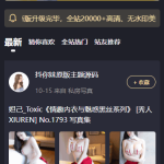 最新抖你妹原版主题源码仿抖音模式套图SEO源码_WordPress图片主题
