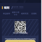 哈希竞猜源码-支持四种玩法