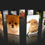 520表白html实现3D动态相册，换成女朋友照片