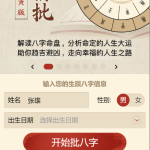 八字精批付费测算系统