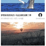 小熊的日记图文列表布局小程序模板