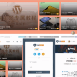 RiPro主题最新解锁去授权无限制版本(更新至8.7）