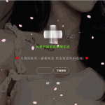 一款背景带视频的个人炫酷引导页源码