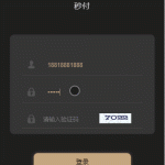 跑分系统新UI支付抢单跑分源码