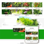 响应式生态水果蔬菜商城网站模板(自适应手机移动端) | 织梦dedecms