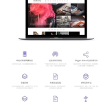 WordPress自适应个人博客主题Cosy3.1.3全开源无加密+积木部分插件